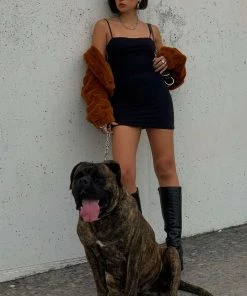 CLOTHING Motel Rocks Sambre Mini Dress - Black